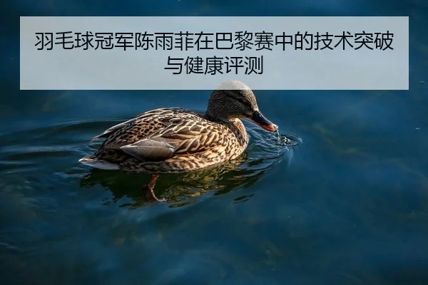 羽毛球冠军陈雨菲在巴黎赛中的技术突破与健康评测